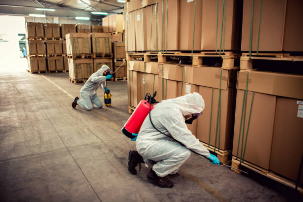 Best Emergency Pest Control  in Rutledge, GA