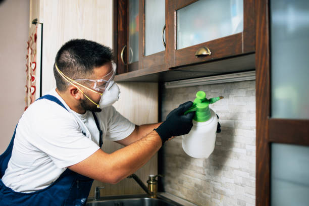 Best Affordable Pest Control Services  in Rutledge, GA