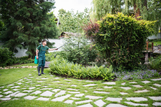 Professional Pest Control in Rutledge, GA