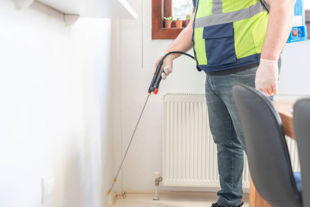 Best Flea Control Services  in Rutledge, GA