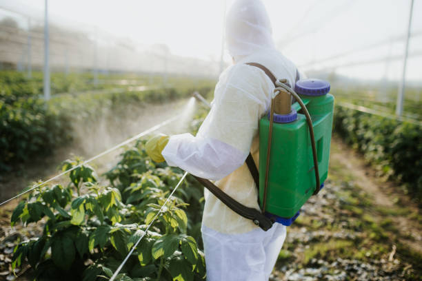 Best Mosquito Control Services  in Rutledge, GA